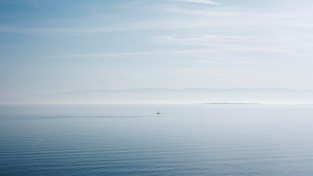 white boat in sea