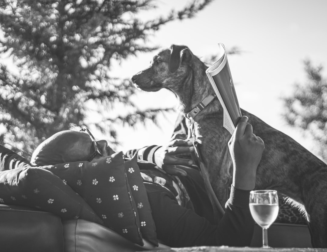 a man laying on a couch next to a dog